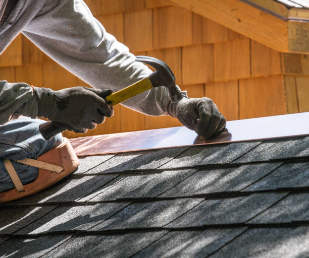 Best Metal Roofing Contractor  in Land O Lakes, FL
